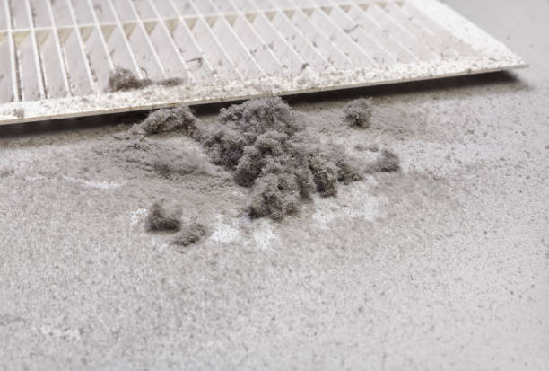 Best Affordable Air Duct Cleaning  in Eugene, OR
